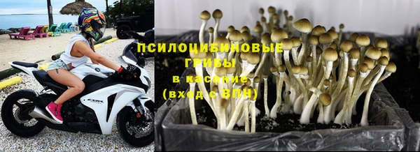 не бодяженный Лабытнанги