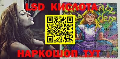 a pvp Заводоуковск