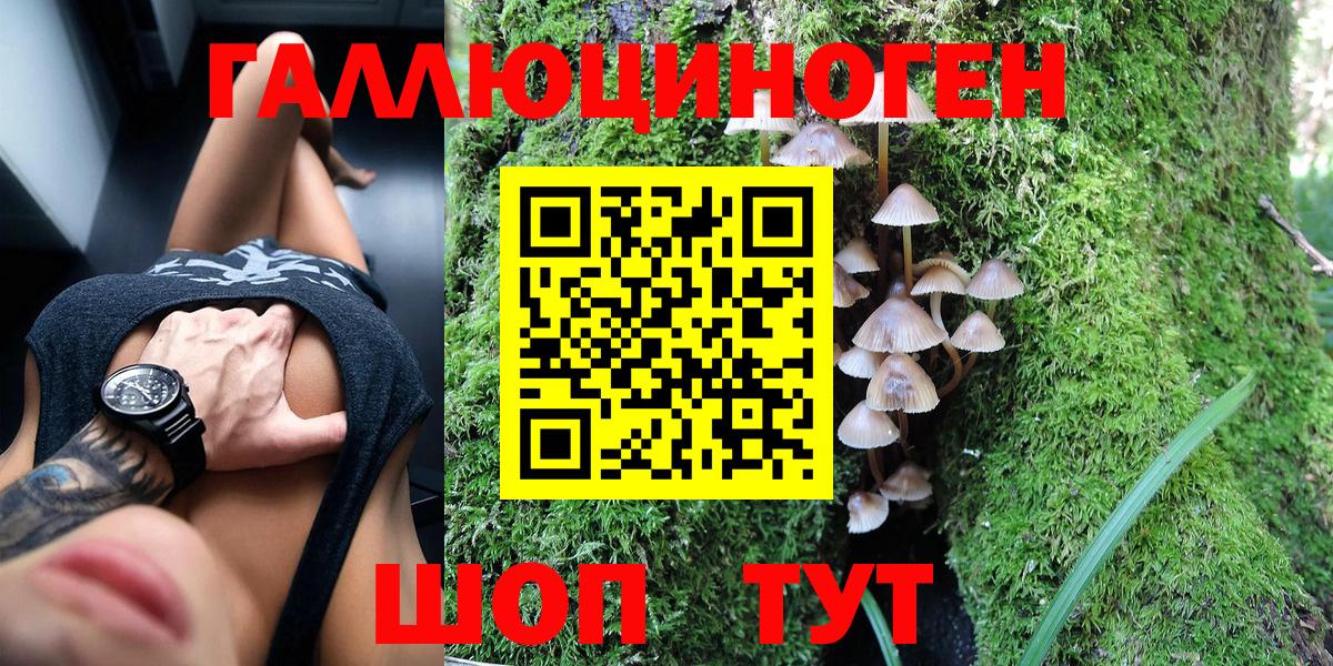 Псилоцибиновые грибы Psilocybine cubensis  Краснодар  купить   Псилоцибиновые грибы Psilocybine cubensis 