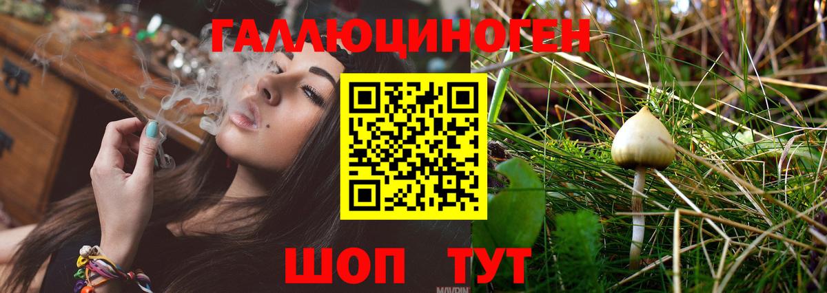 Мефедрон кристаллы  ГАШИШ  Экстази  Кокаин  Краснодар  Вход с VPN  МАРИХУАНА  MDMA 