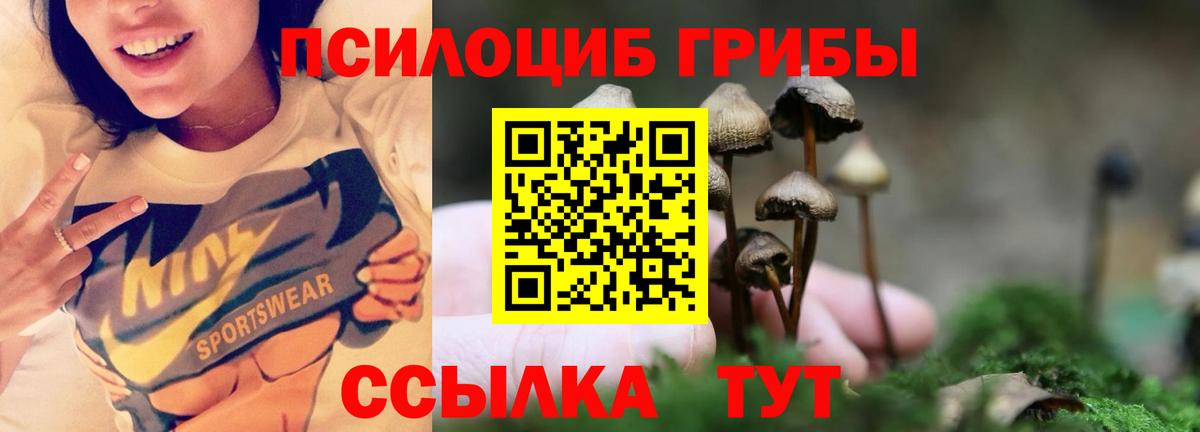 Псилоцибиновые грибы Краснодар